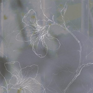 이제 슬프지 않아도 돼