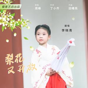 梨花又开放（翻唱）-李晓青