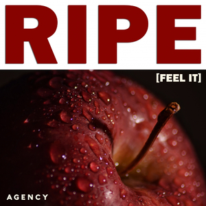 Ripe (Feel It) (Extended Mix)