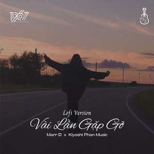 Vài Lần Gặp Gỡ ( Lofi Version)