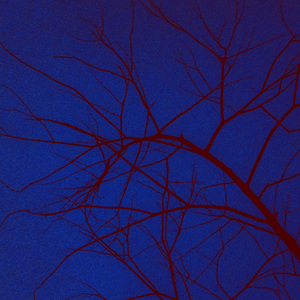 请在我转身以后