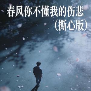 春风你不懂我的伤悲 (撕心版)