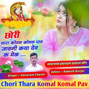 Chori Thara Komal Komal paw छोरी थारा कोमल कोमल पाव जावगी कया देव क मेल देवनारायण सॉन्ग देवजी यात्रा सॉन्ग devji song