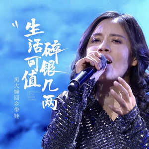 生活可值碎银几两 (黑大婶版)