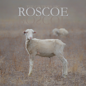 Roscoe (Field Mix)
