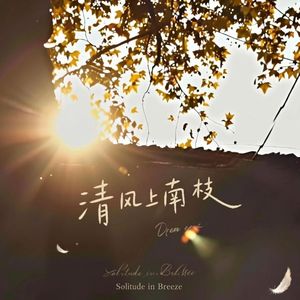 南充水手（清风上南枝）