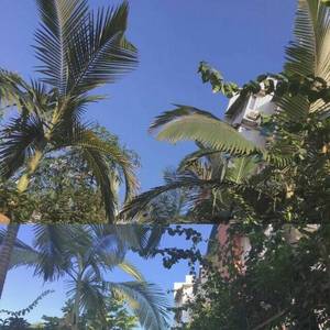 梦（prod.by.黑车司机）