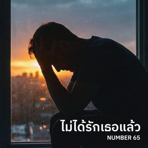 ไม่ได้รักเธอแล้ว