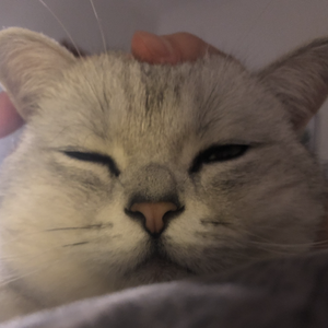 奇怪的人（翻自 青你2黄一鸣）