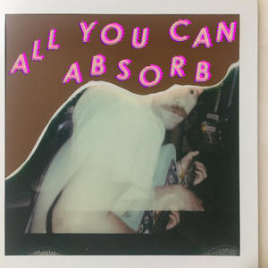 All You Can Absorb