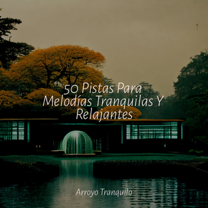 Serenidad Junto Al Lago