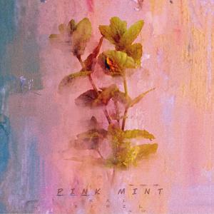 Pink Mint 伴奏