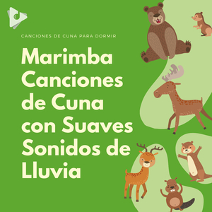 Pop va la comadreja con sonidos relajantes de lluvia (Marimba Instrumental)