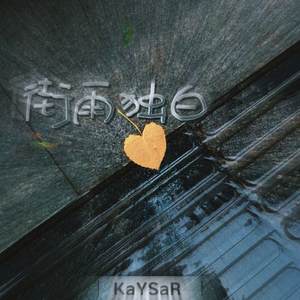 街雨独白