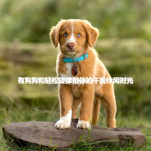 Relaxing Backdrops for Overnote Thoughts