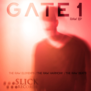 The Raw Elements (Original Mix)