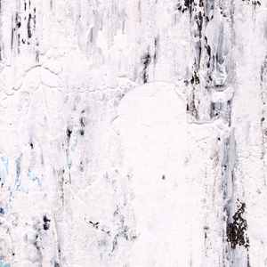 The Primitive Streak Track 1