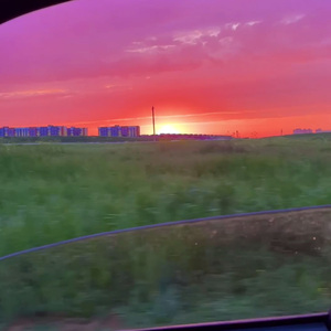 Я тебя люблю