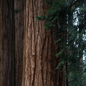 Unclogged and Ready for Spewage