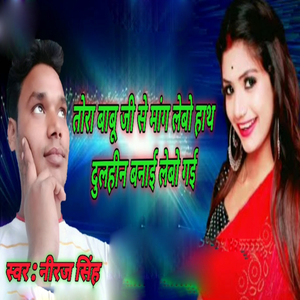 Tora Babu Ji Se Maang Lebao Hath Dulhin Banai Lebao Gai