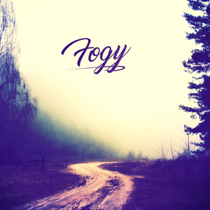 Fogy