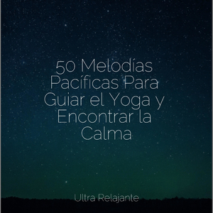 Descansando Junto Al Lago