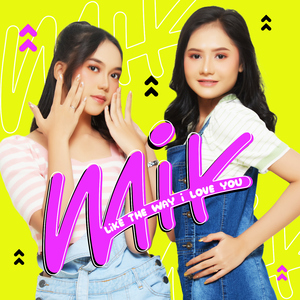 Like The Way I Love You