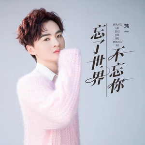 忘了世界不忘你