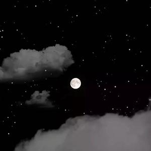 花海（翻自 甜梨梨er）