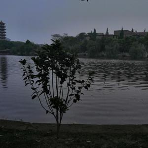 温柔