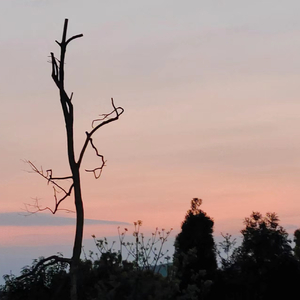 奈奈（prod by FRESH_ye）