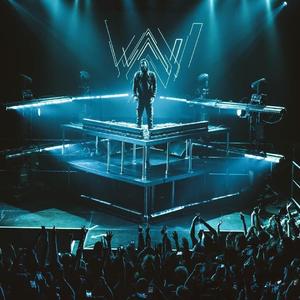 Alan Walker-The Spectre（陈凯旭Music remix）