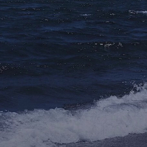 蔚蓝海岸  （翻自 路飞文）