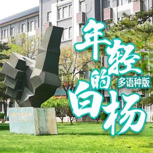 校园里有一排年轻的白杨（多语种版）