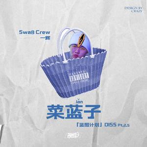 菜蓝子（Diss 蓝图计划