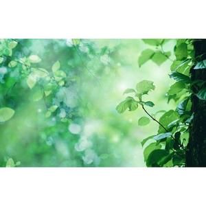 我以为你会幸福