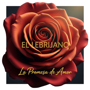 Mi Compromiso