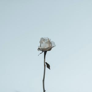 Asmr (feat. Ruby James)