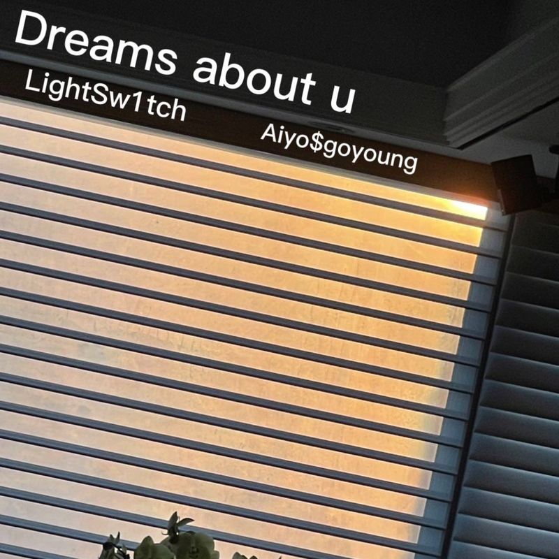 Dreamsaboutu封面