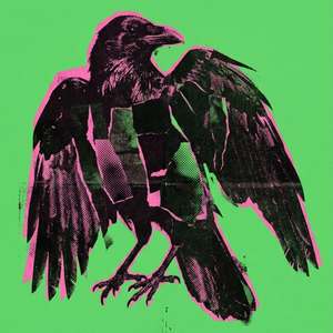 Crow