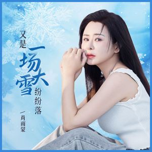 又是一场大雪纷纷落