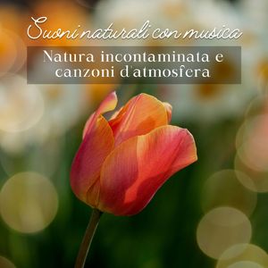 Natura incontaminata