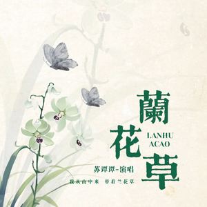 兰花草