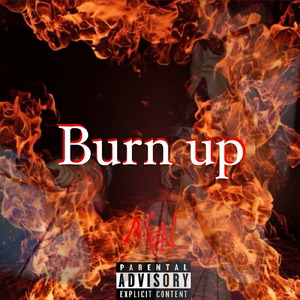 Burn up