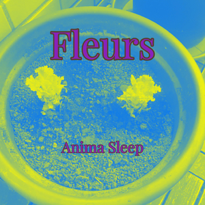 Fleurs