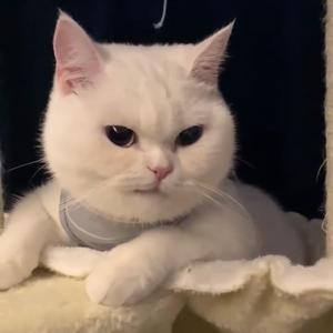 西安没下雪，你还在我身边