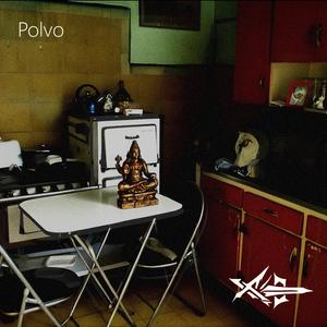 Polvo