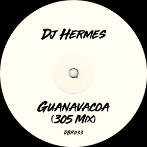 Guanavacoa (305 Mix)