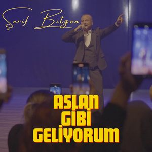 Aslan Gibi Geliyorum