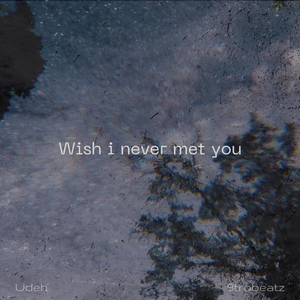 Wish I Never Met You
